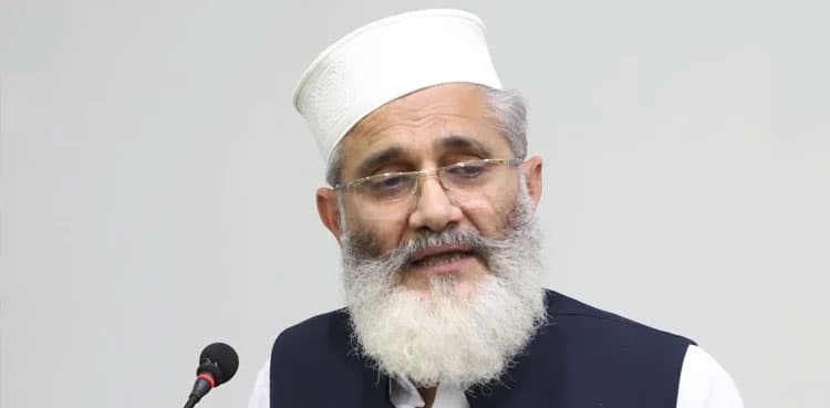 Jamat-e-Islami recommends special seats for overseas Pakistanis