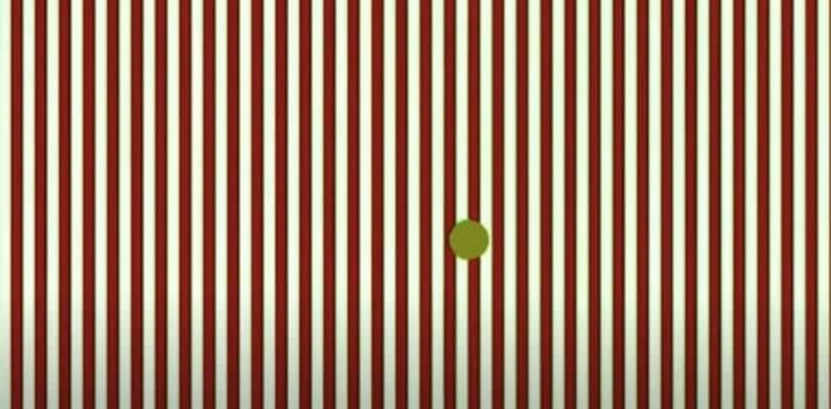 Viral Video: This optical illusion reveals 'hallucinating' effect