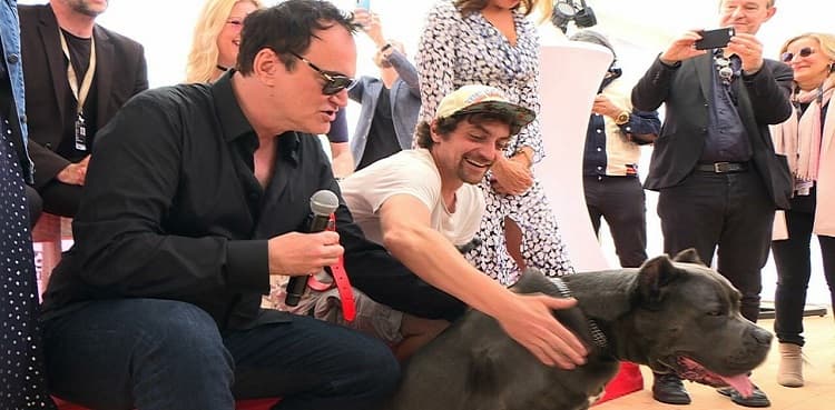 Cannes: Ukraine's landmine-sniffer gets 'Palm Dog'