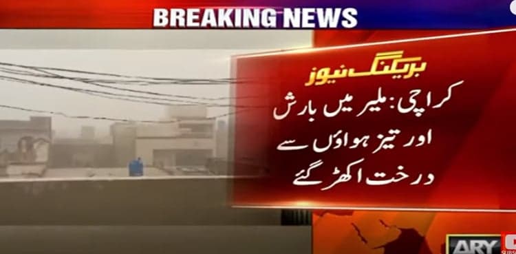 Karachi downpour: At least four killed in rain-related incidents