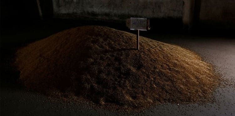 End of food crisis?: Ukraine, Russia sign deal to reopen grain export ports