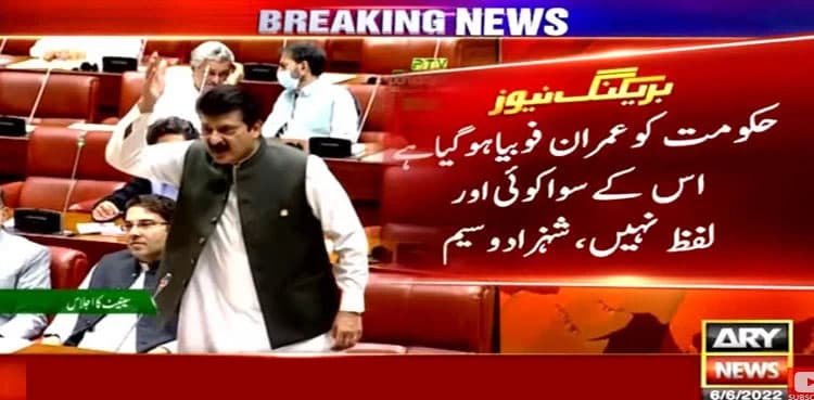 Govt suffers from Imran Khan phobia: Senator Shahzad Waseem  