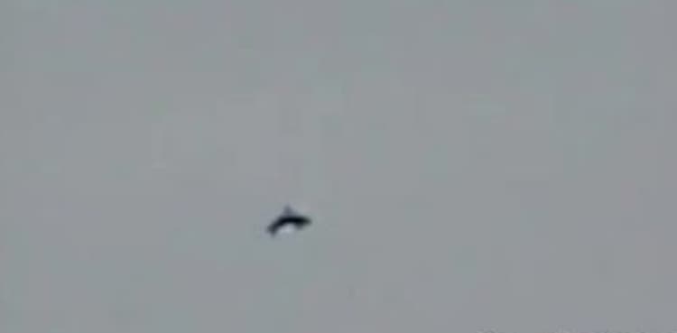 UFO hunter shares images to 'prove' aliens exist