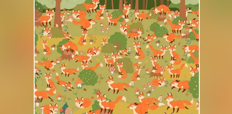 Optical illusion: Finding blue-eyed fox in 25 seconds can make you record holder