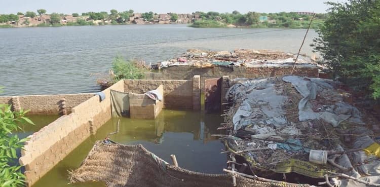 Floodwater enters in Qubo Saeed Khan in Qambar-Shahdadkot