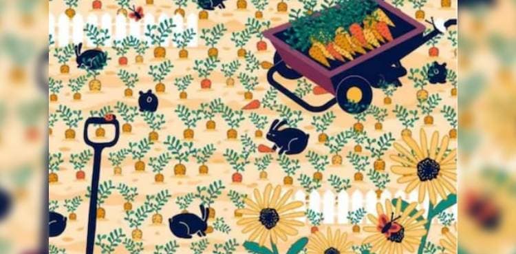 Optical illusion: Can you find the diamond ring in this picture?