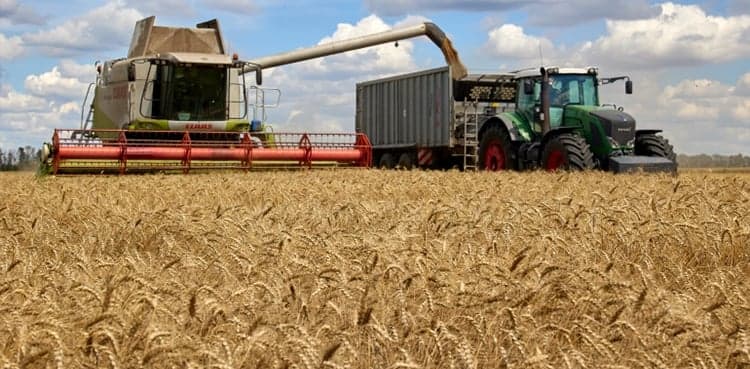Turkey says first grain cargo could leave Ukraine port Monday