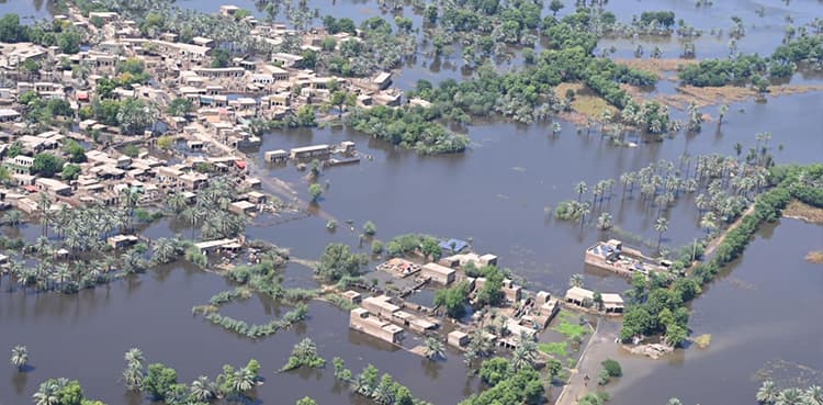 Pakistan lost over 1,76,153 acre crops due to floods: NFRCC