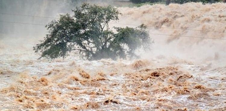 Sutlej River in low flood at Sulemanki Headworks