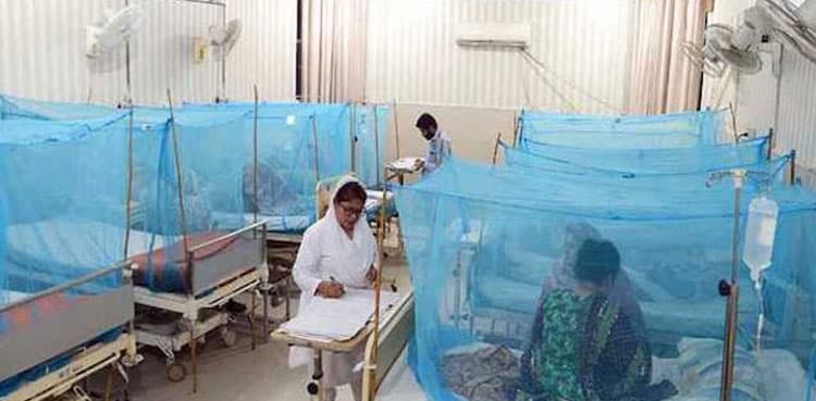 Karachi reports 161 more dengue cases while six DMCs seek funds for fumigation