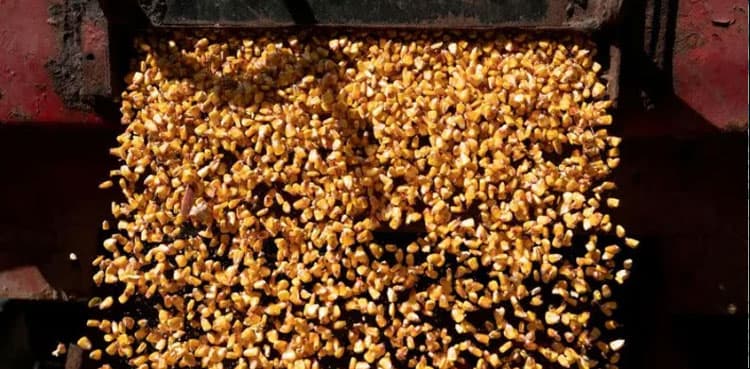 Two more grain ships sail from Ukraine, Turkey says