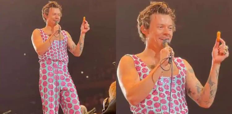 Harry Styles has 'chicken nuggets' thrown upon; his reaction was EPIC