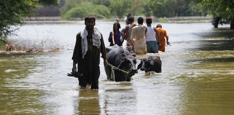 Floodwater from Manchar Lake inundates Bhan Syedabad