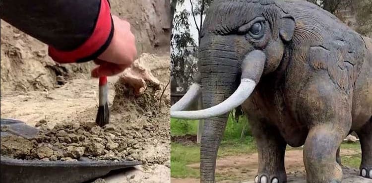 Chilean scientists discover 12,000-year-old elephant remains