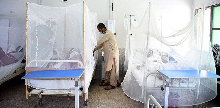 246 more dengue virus cases surface in Karachi