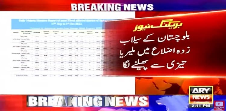 Balochistan sees 3,131 malaria cases in past 24 hours