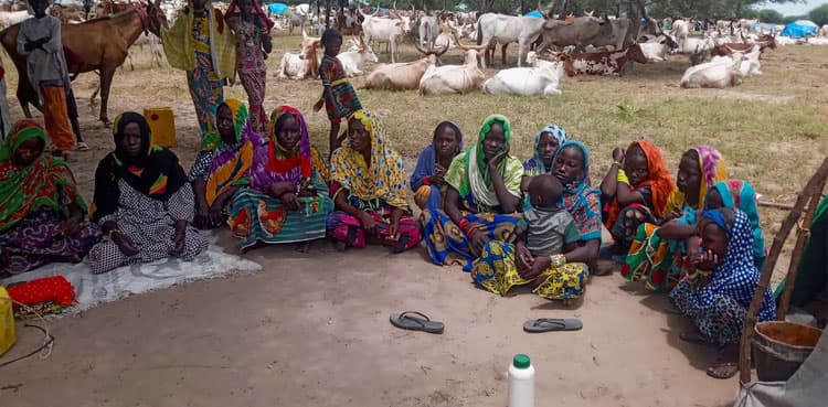 Drought and floods leave Chad herders without food, milk