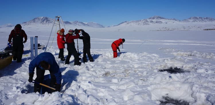Climate change may boost Arctic 'virus spillover' risk