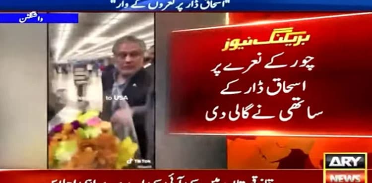 Ishaq Dar's aide abuses protester for calling the minister 'thief'
