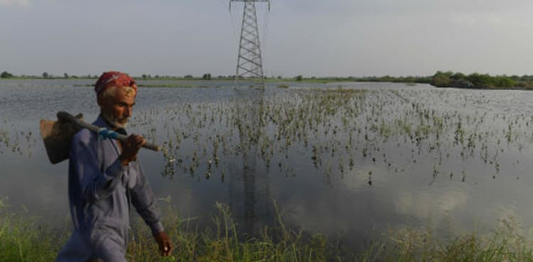 ‘Farmers in flood-affected areas to get free-of-cost seeds’  