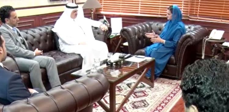 Pakistan, Saudi Arabia agree to step up cooperation in film, drama fields
