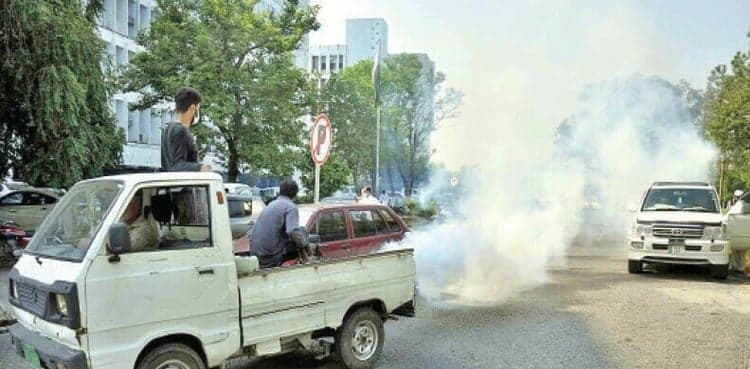 Karachi: Another 264 dengue cases reported in 24 hours