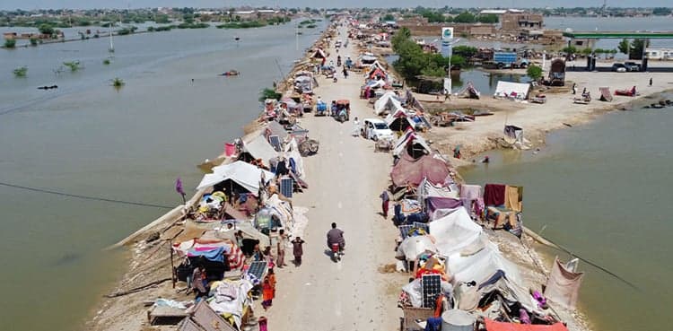 Floods wreak havoc in 88 Pakistan districts: WHO official