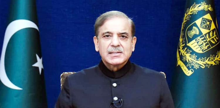 Pakistan facing threat of food insecurity after flood: PM Shehbaz Sharif