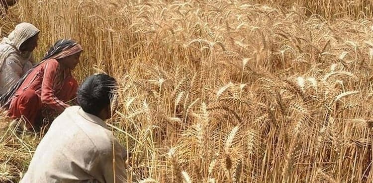 Lahore: Farmers end sit-in after successful talks with Punjab govt