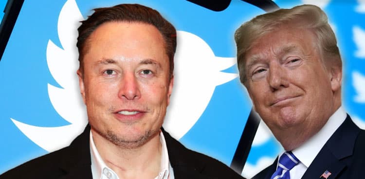 Elon Musk asks Twitter users if Trump should be reinstated