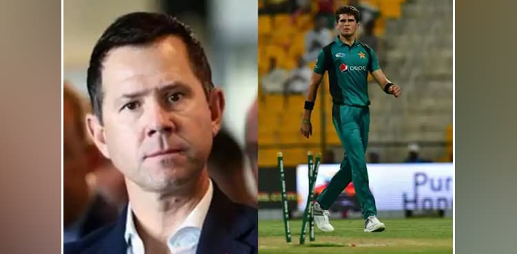 Ricky Ponting highlights importance of Shaheen Shah Afridi