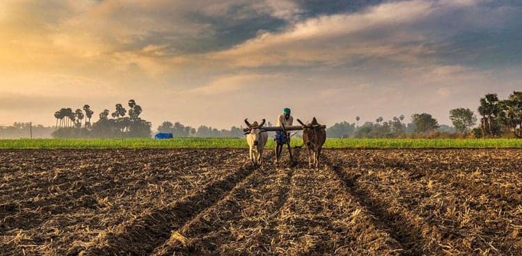 ECC approves Kissan package 2022