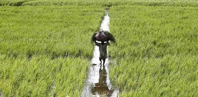 Pakistan Kisan Ittehad gives ultimatum to government