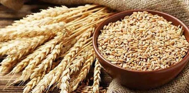 Wheat price soars to Rs5,100 per 40kg in Lahore