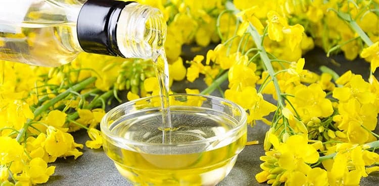 Indian farmers shift from rapeseed to other crops