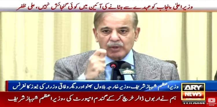PM Shehbaz Sharif hails world for supporting flood victims, vows transparency