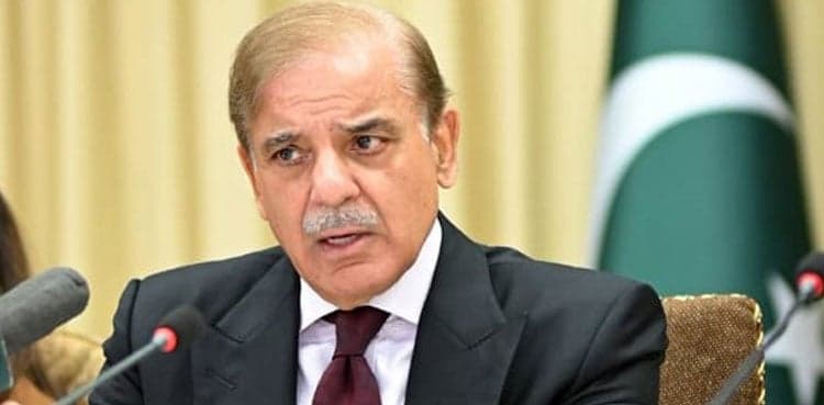 PM Shehbaz Sharif inaugurates K-III nuclear power plant in Karachi