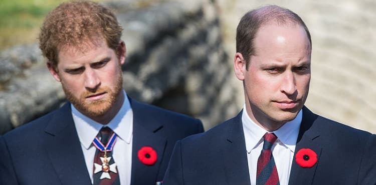 Prince Harry calls himself 'The Plan B' to William