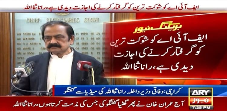 Rana Sanaullah says ‘FIA given go-ahead to arrest Shaukat Tarin’
