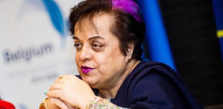 PTI contacts with UN human rights council against violence