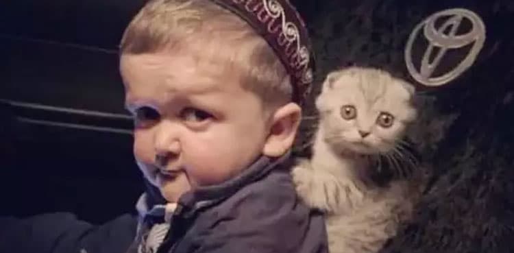 Internet sensation Hasbulla Magomedov tortures cat, video goes viral