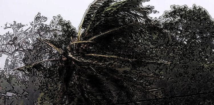 Why is Cyclone Freddy a record-breaking storm?