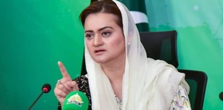 Marriyum lashes out at PTI for demanding Ishaq Dar's resignation 