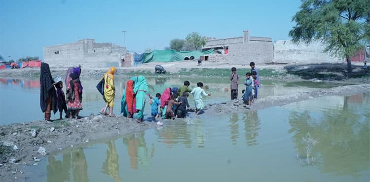 Italy launches €4 million climate resilience initiative for Sindh