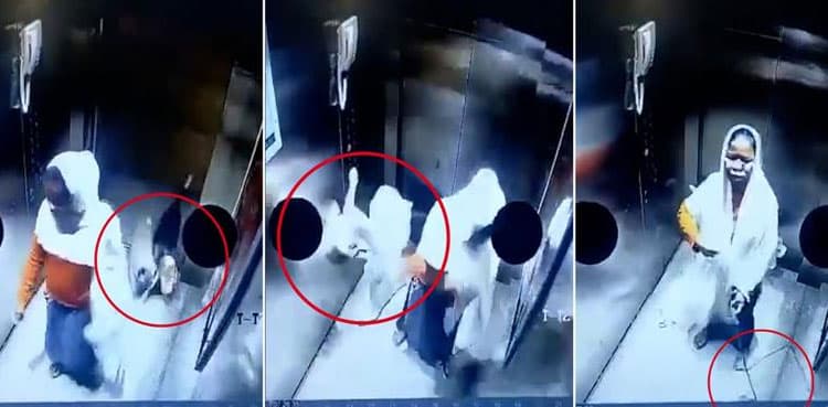 WATCH: Maid slams dog on elevator floor; video goes viral