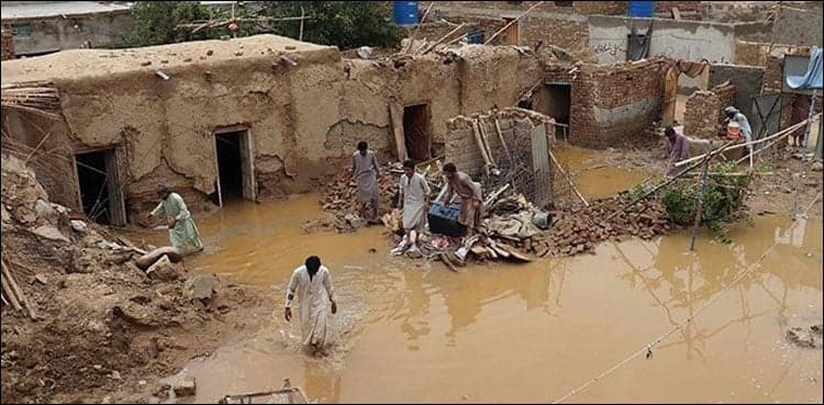 Bilawal Bhutto holds developed countries responsible for climate disaster