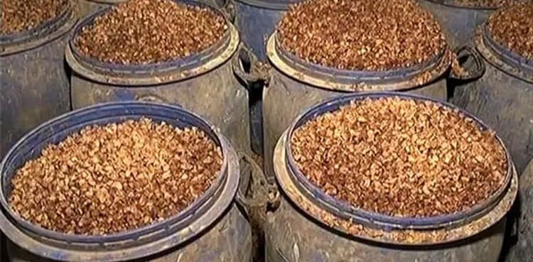 SHC grants protective bail to SSP charged of Gutka supply