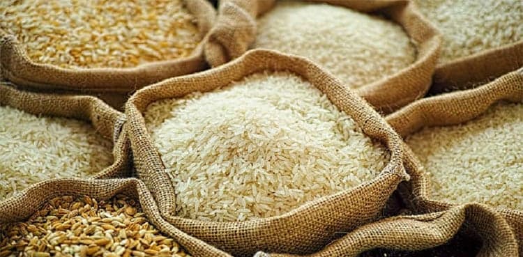 India's rice area grows on higher prices