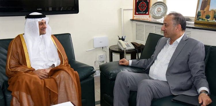 Musadik Malik invites Qatari investors to invest in LNG sector