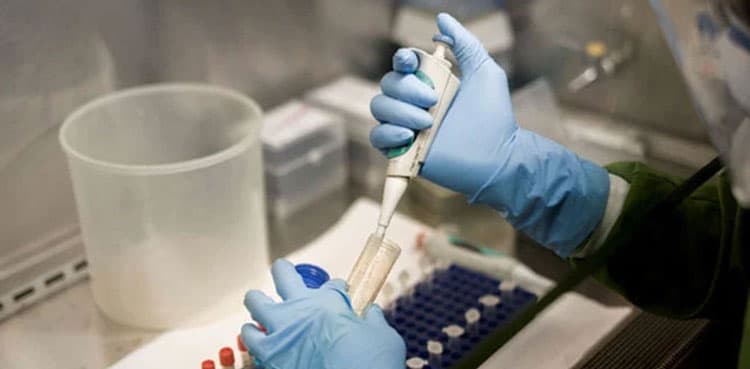 Afghan strain of poliovirus detected in Peshawar, Dera Bugti samples